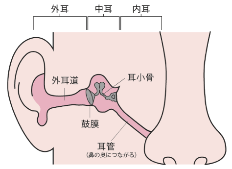 お子様の治療について 戸田ファミリア耳鼻咽喉科